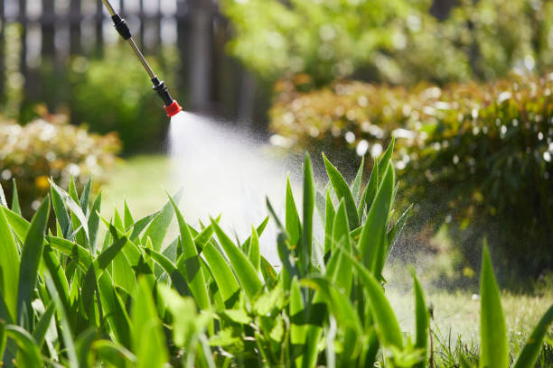 24/7 Emergency Termite Control experts in Atmore, AL